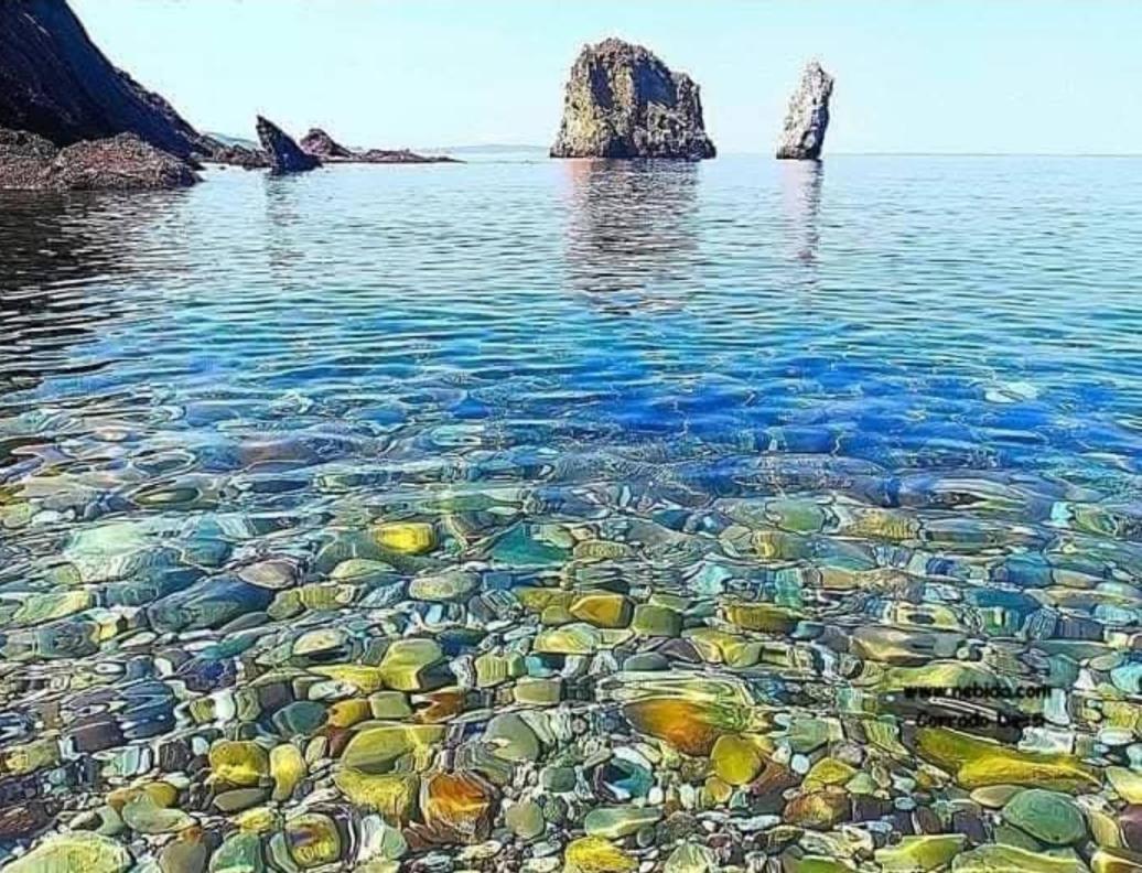 Casa Vacanza Sa Dommu De Teresa Nebida 外观 照片